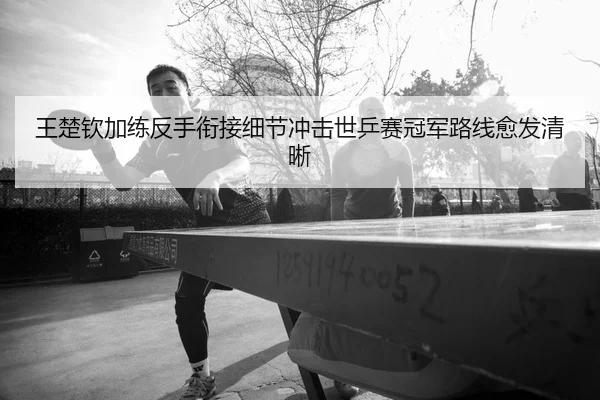 王楚钦加练反手衔接细节冲击世乒赛冠军路线愈发清晰