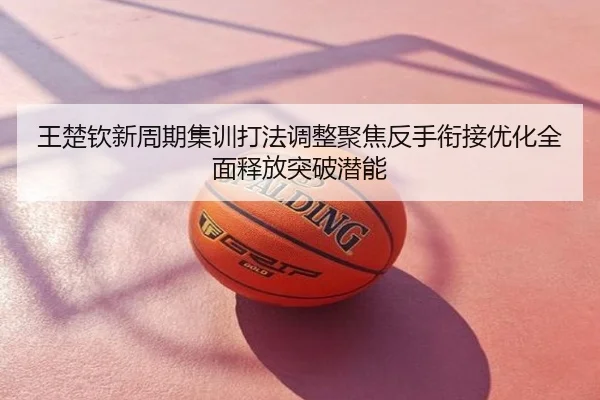 王楚钦新周期集训打法调整聚焦反手衔接优化全面释放突破潜能
